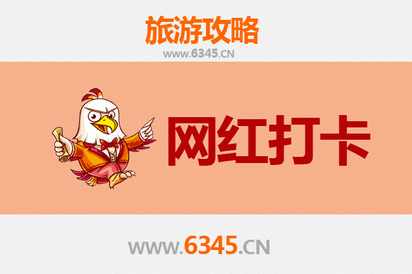 云林二仑出发：穿越千里，漫游丽江古城全景攻略